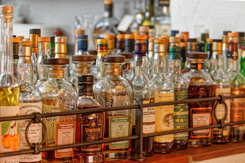 阿尔普苏酒店 迪森蒂斯 外观 照片